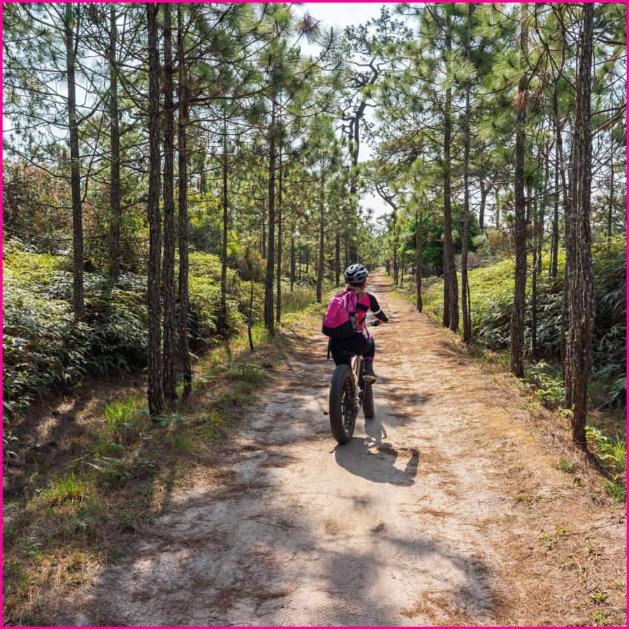 Mobilhome 2Ch Climatise-Terrasse Fermee-4 Velos-Camping 4 Etoiles Les Charmettes Les Mathes ภายนอก รูปภาพ